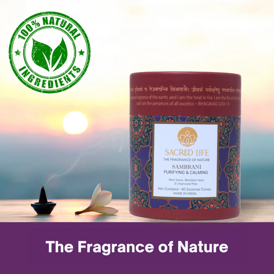 Sacred Life Sambrani Incense Dhoop Cones