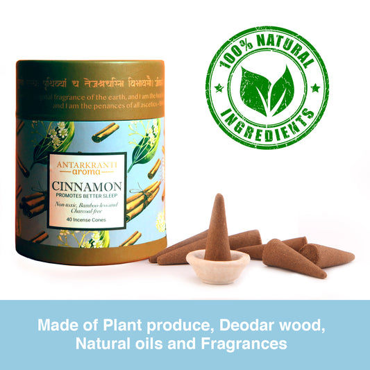 Sacred Life Cinnamon Incense Dhoop Cones