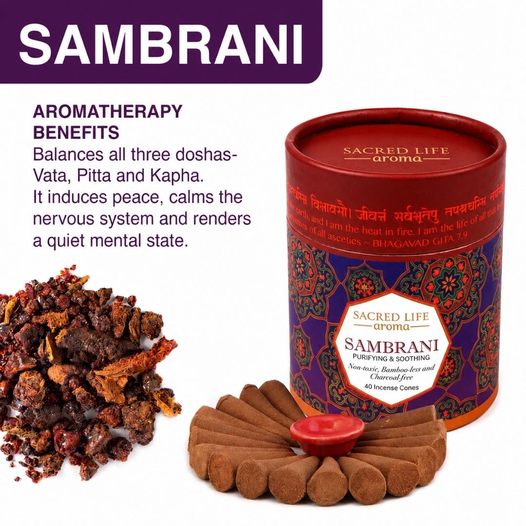 Sacred Life Aroma Sambrani premium incense cones with traditional Sambrani aroma and 40 incense cones