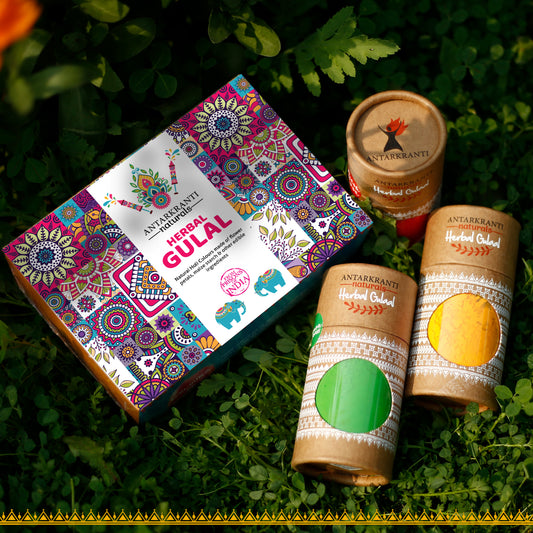 Antarkranti Naturals Hand-Made Herbal Gulal | Maize Starch | Tesu Flowers | Rose | Marigold | Sandalwood | Food Grade Colours | Green Yellow and Red Colour | Classic Gift Set - Pack of 3 | 100gm x 3