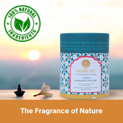 Sacred Life Loban Incense Dhoop Cones