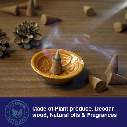 SACRED LIFE Dry Dhoop INDIAN SPICE Incense Cones | Burning Time 35 Minutes | Low Smoke Dhoop for Pooja | Aromatherapy | Meditation | Yoga | 100% Organic & Charcoal Free