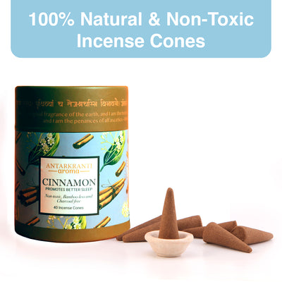 ANTARKRANTI Dry Dhoop CINNAMON Incense Cones | Low Smoke Dhoop for Pooja | Aromatherapy | Meditation | Yoga | Organic & Charcoal Free | Sacred Life