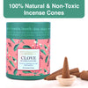 ANTARKRANTI Dry Dhoop CLOVE Incense Cones | Burning Time 35 Minutes | Low Smoke Dhoop for Pooja | Positivity | Aromatherapy | Meditation | Yoga | 100% Organic & Charcoal Free
