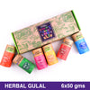 Earth Inspired 6 in 1 | Red, Yellow,Pink, Green, Blue, Orange | Herbal Gulal Gift Set