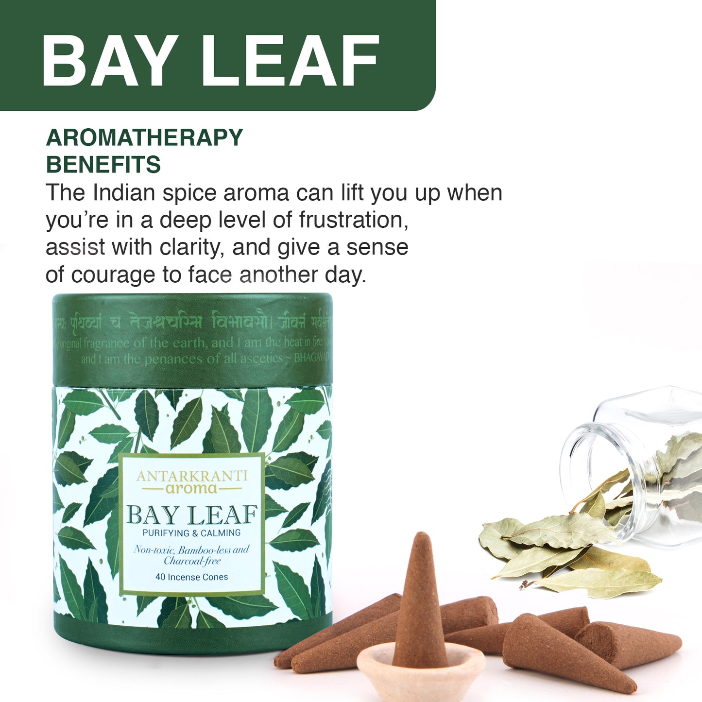 Sacred Life Bay Leaf Dry Dhoop Cones with Holder