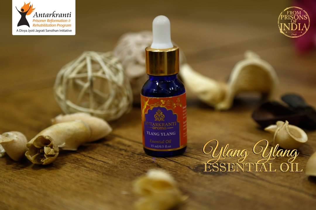ANTARKRANTI Ylang Ylang Diffuser Aroma Oil: Elevate Your Space - EarthInspired Collection